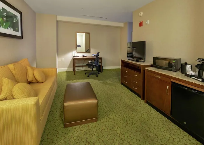 The Hilton Garden Inn Buffalo-Downtown